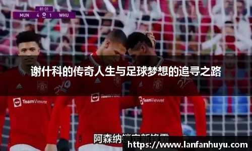 谢什科的传奇人生与足球梦想的追寻之路