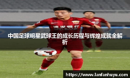 中国足球明星武球王的成长历程与辉煌成就全解析