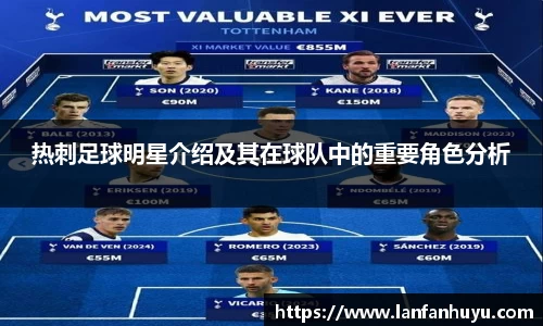 热刺足球明星介绍及其在球队中的重要角色分析